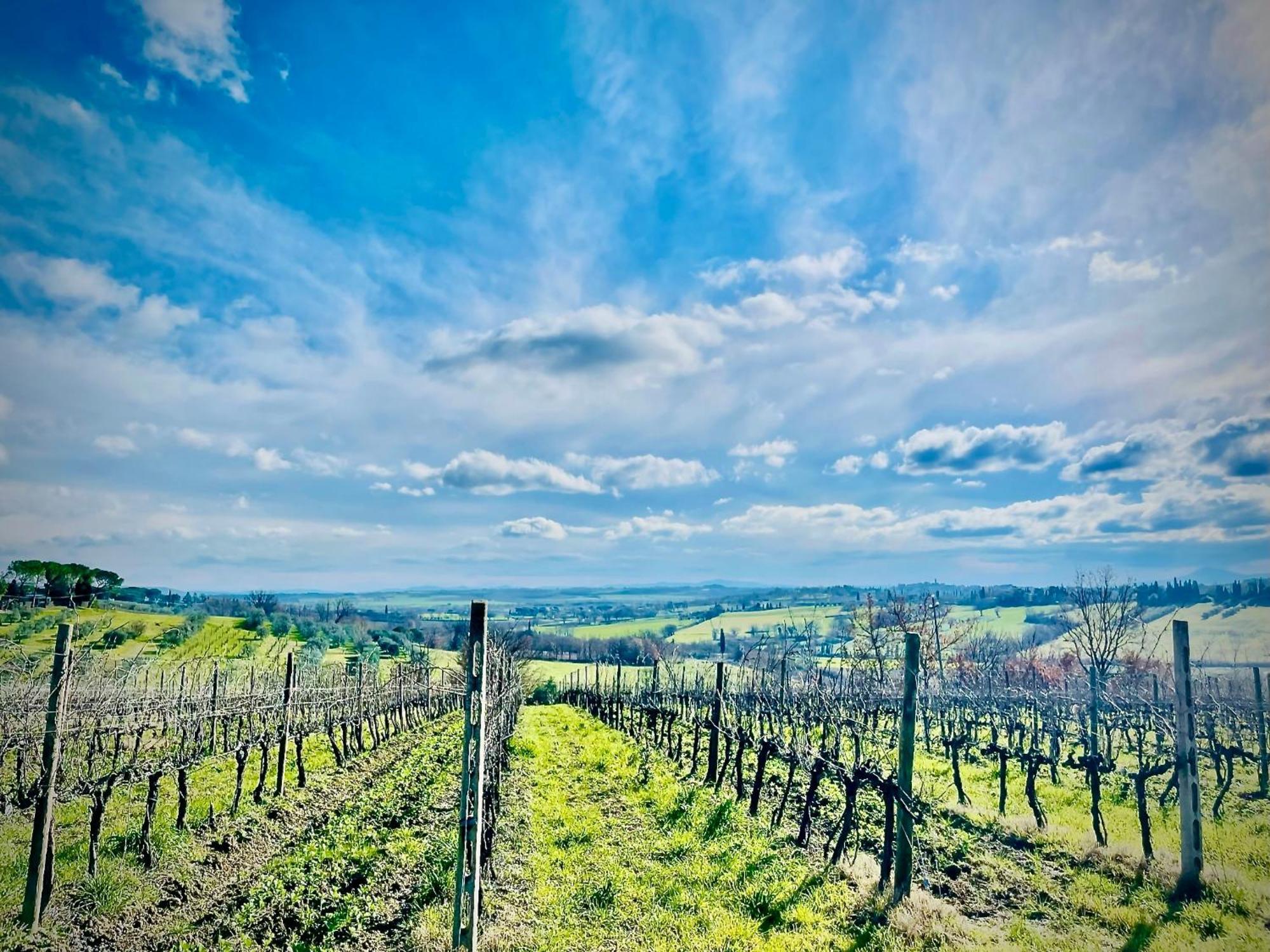 Agriturismo Casaviva Pozzo  Экстерьер фото